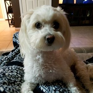 Meet your Posher, Laura